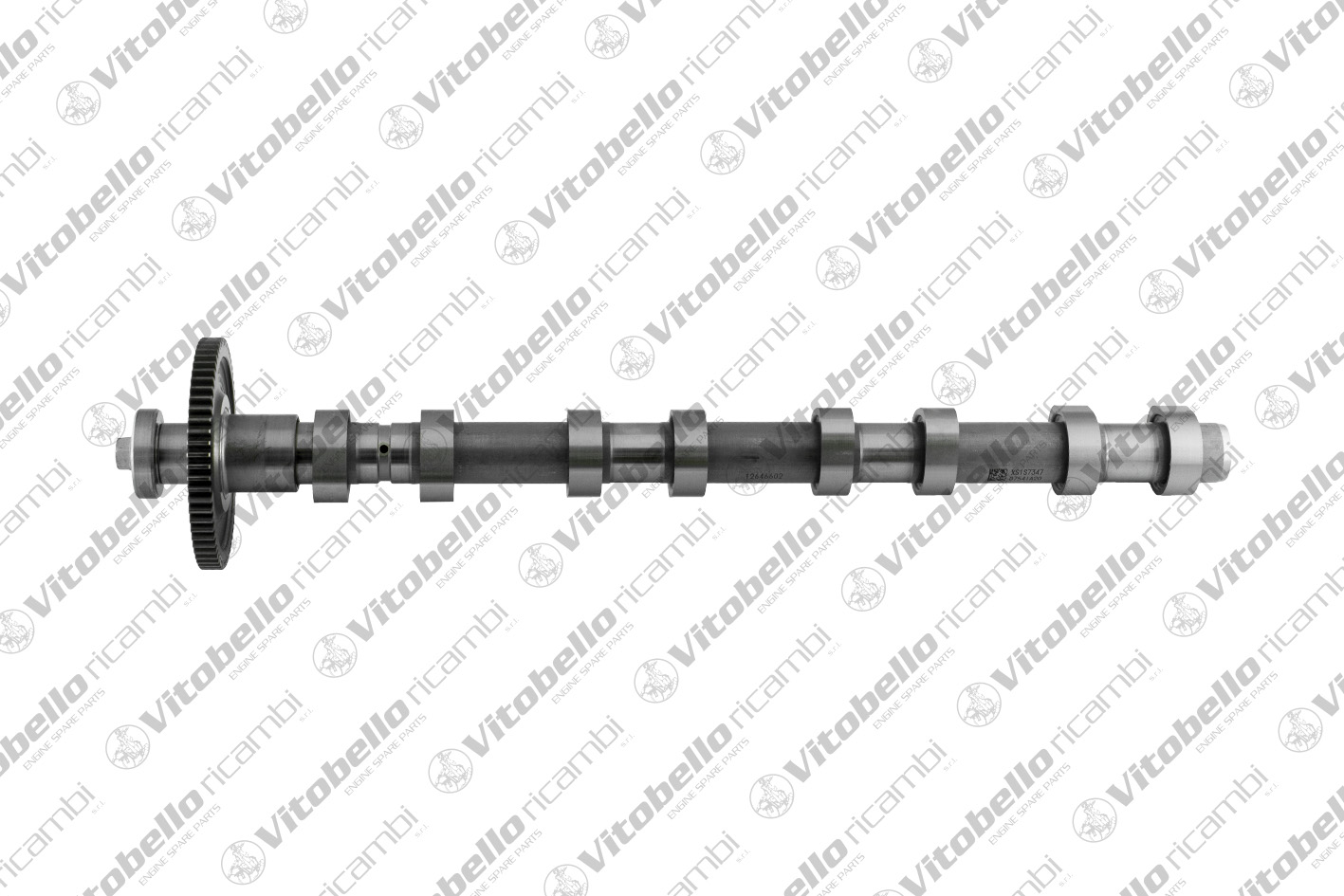 Albero a camme VITOBELLO 1003497NO