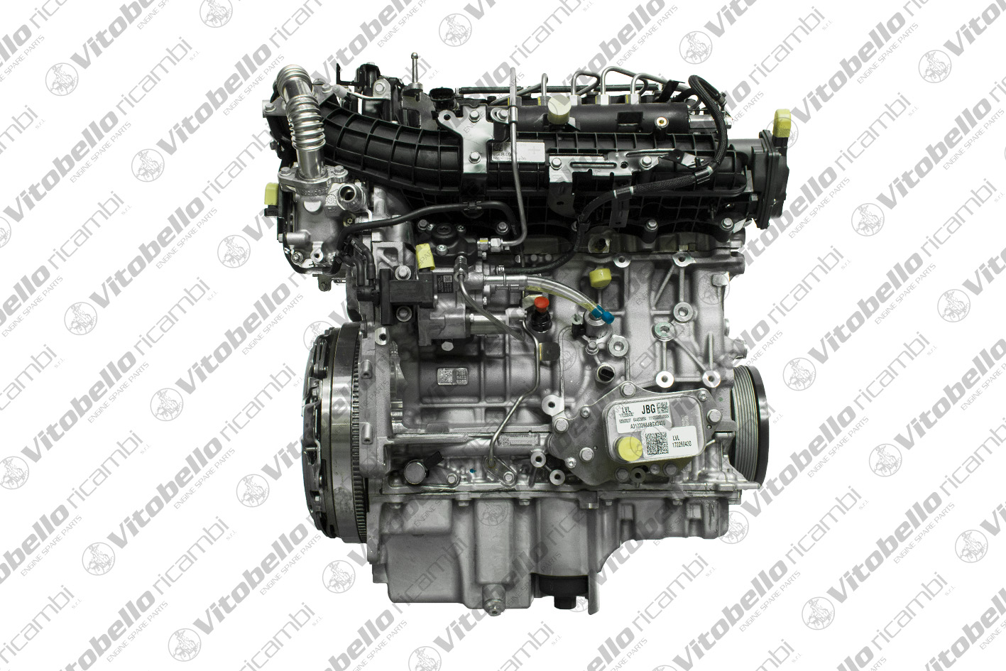 Motore completo VITOBELLO 1003523NO