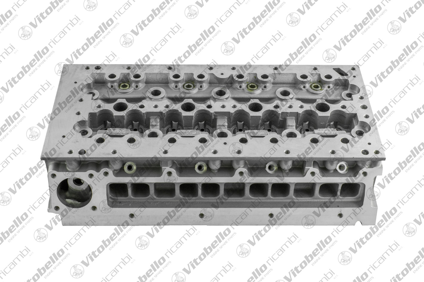 Testata VITOBELLO 1003594N