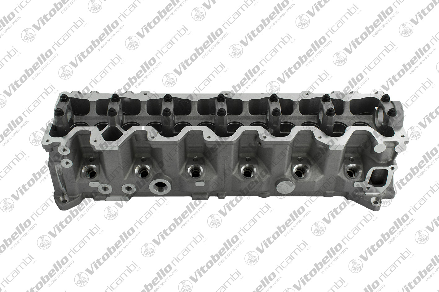 Testata VITOBELLO 1003686N