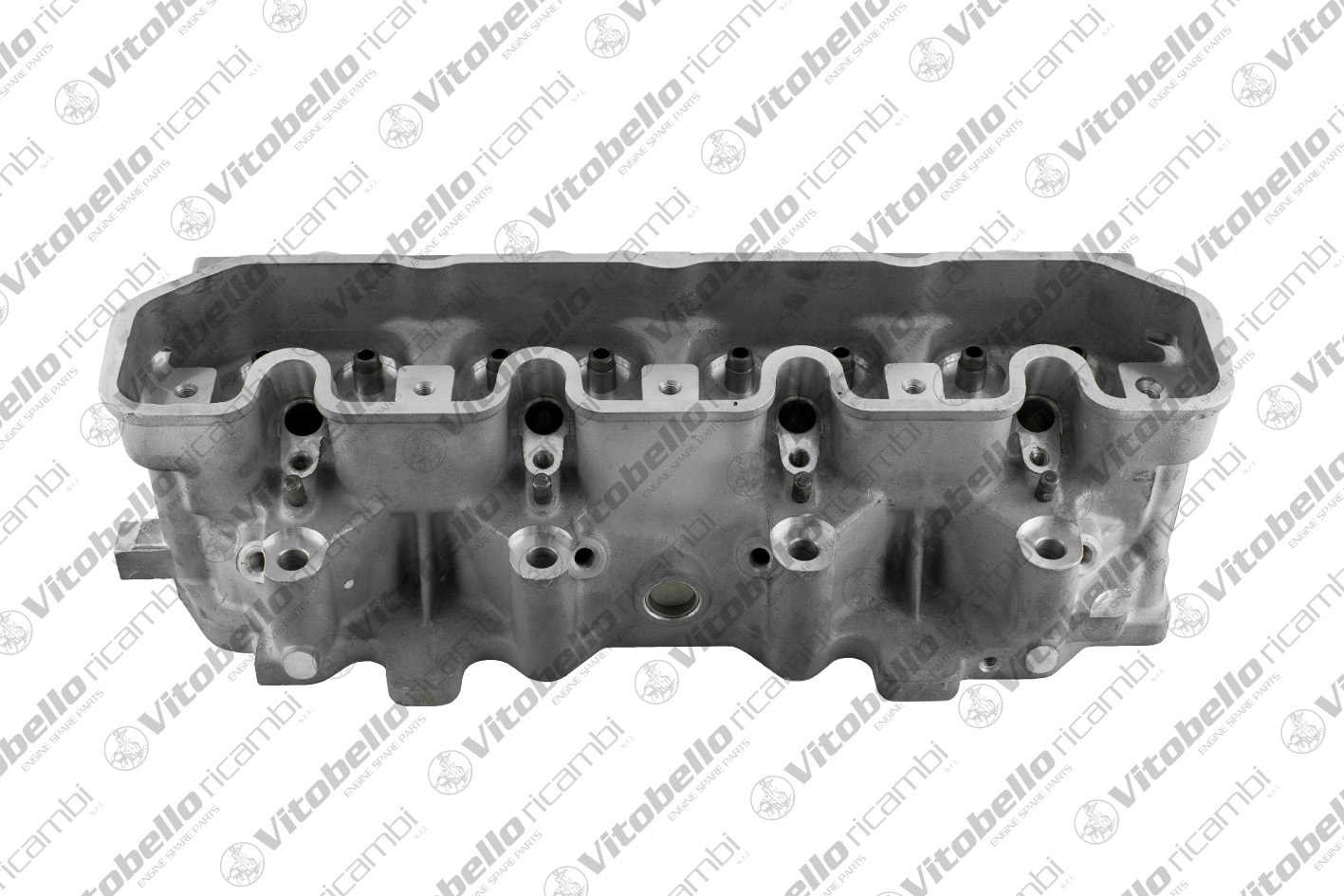 Testata VITOBELLO 1003783N