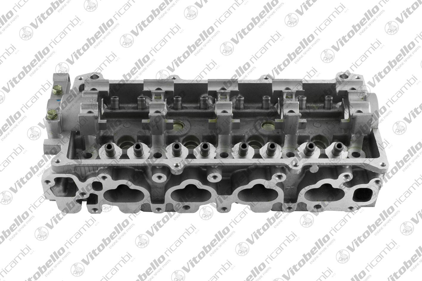 Testata VITOBELLO 1003788N