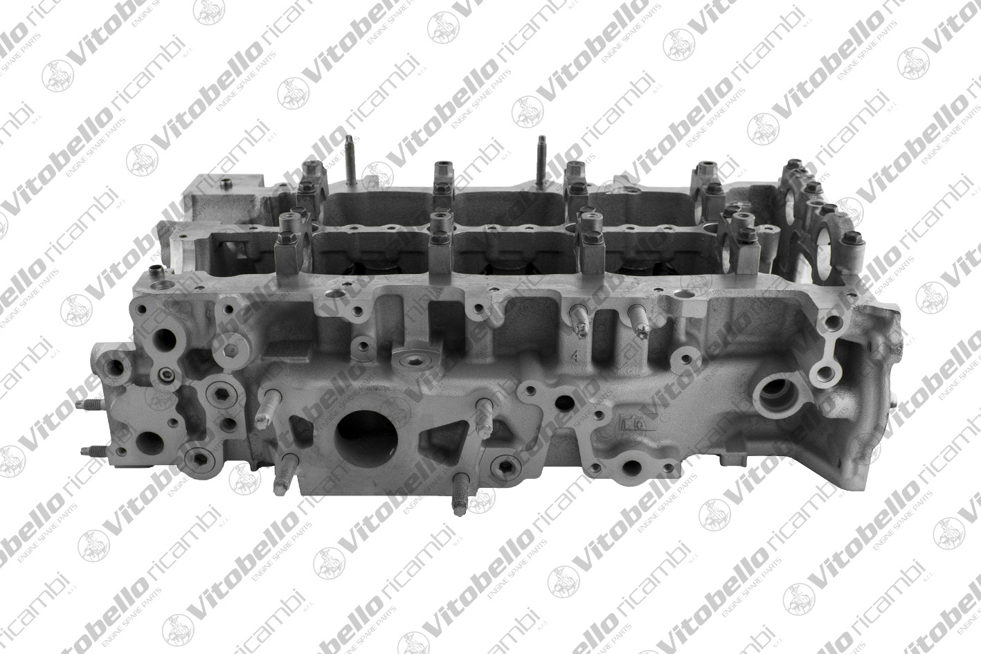 Testata VITOBELLO 1003844R
