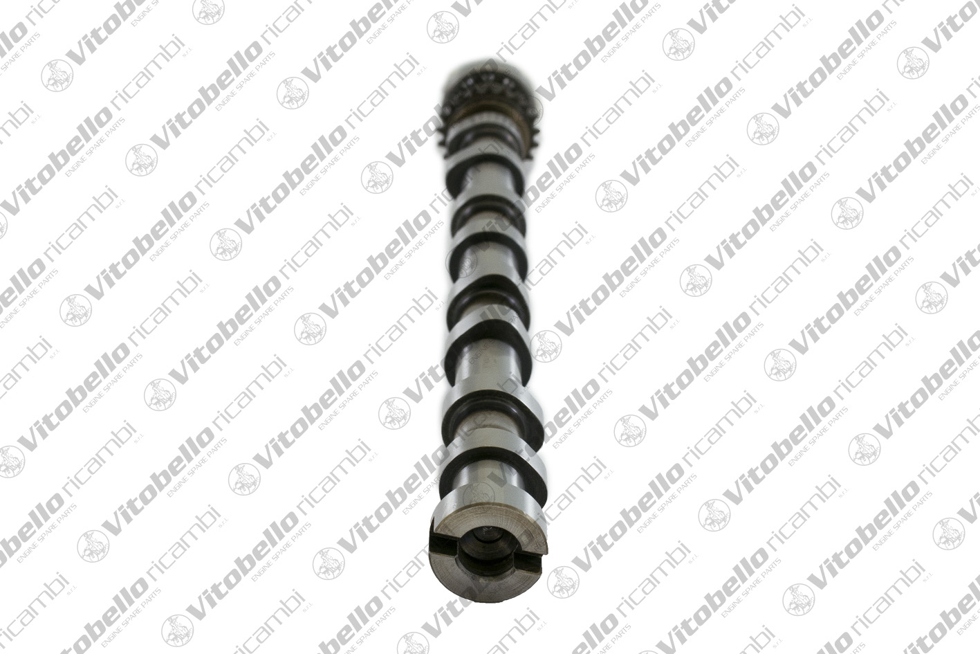 VITOBELLO ALBERO A CAMME IN PEUGEOT YH01