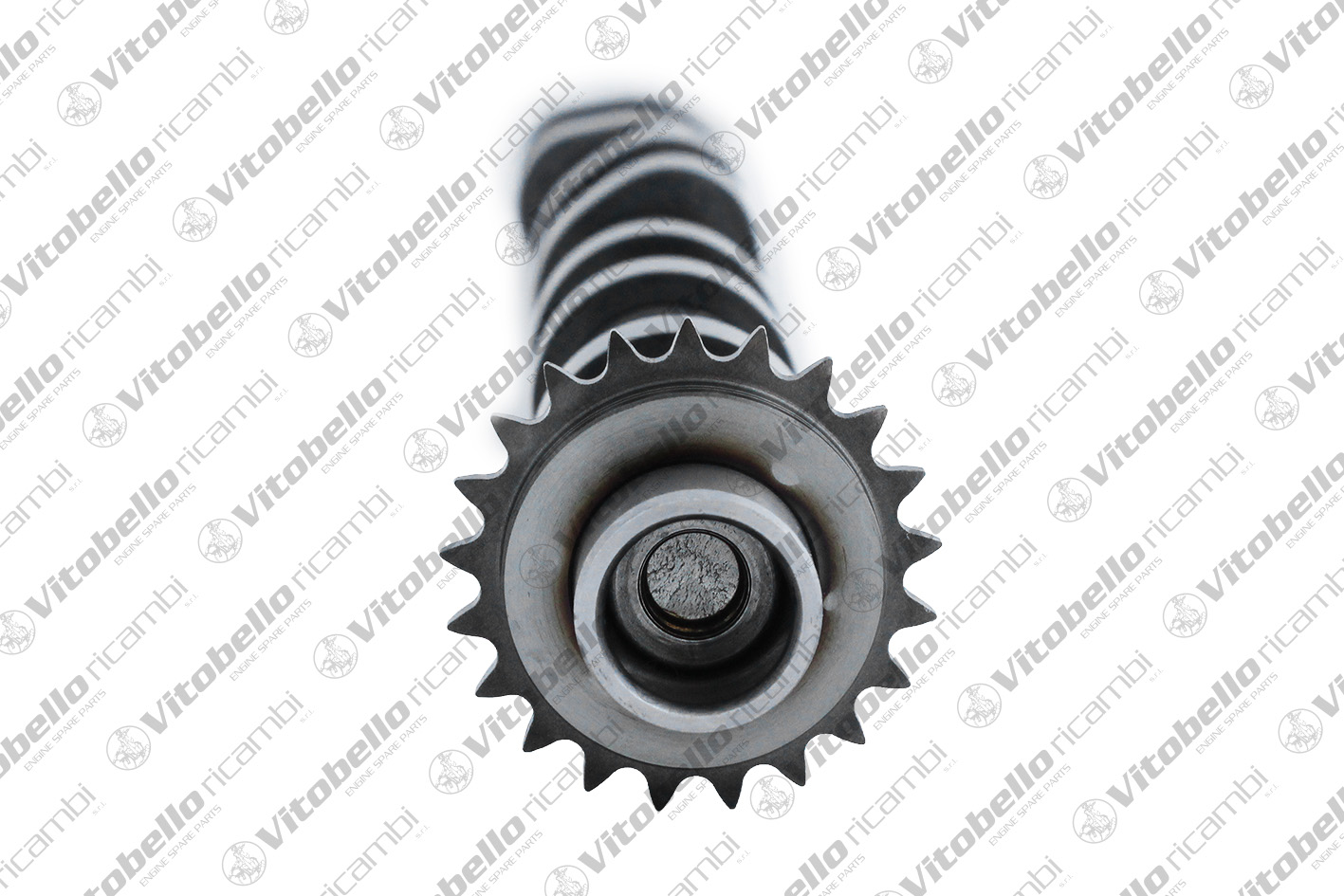 VITOBELLO ALBERO A CAMME EX PEUGEOT YH01