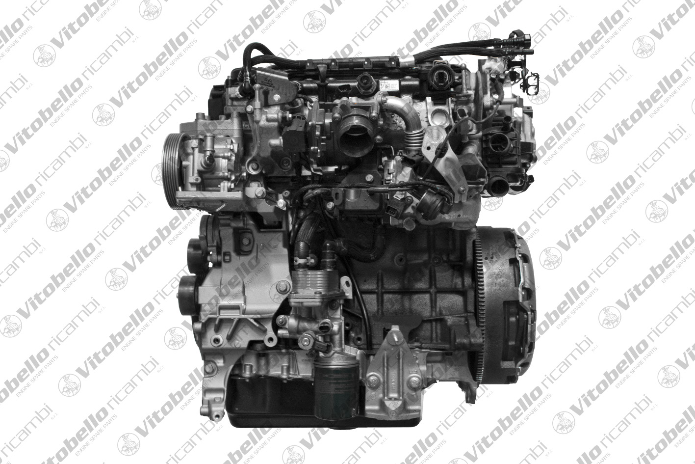 Motore completo VITOBELLO 1004414NO