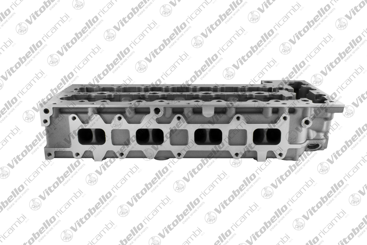 Testata VITOBELLO 1004483N