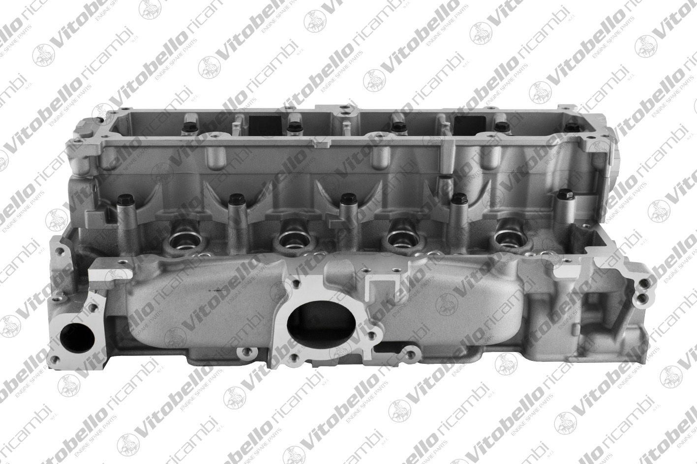 Testata VITOBELLO 1004484N