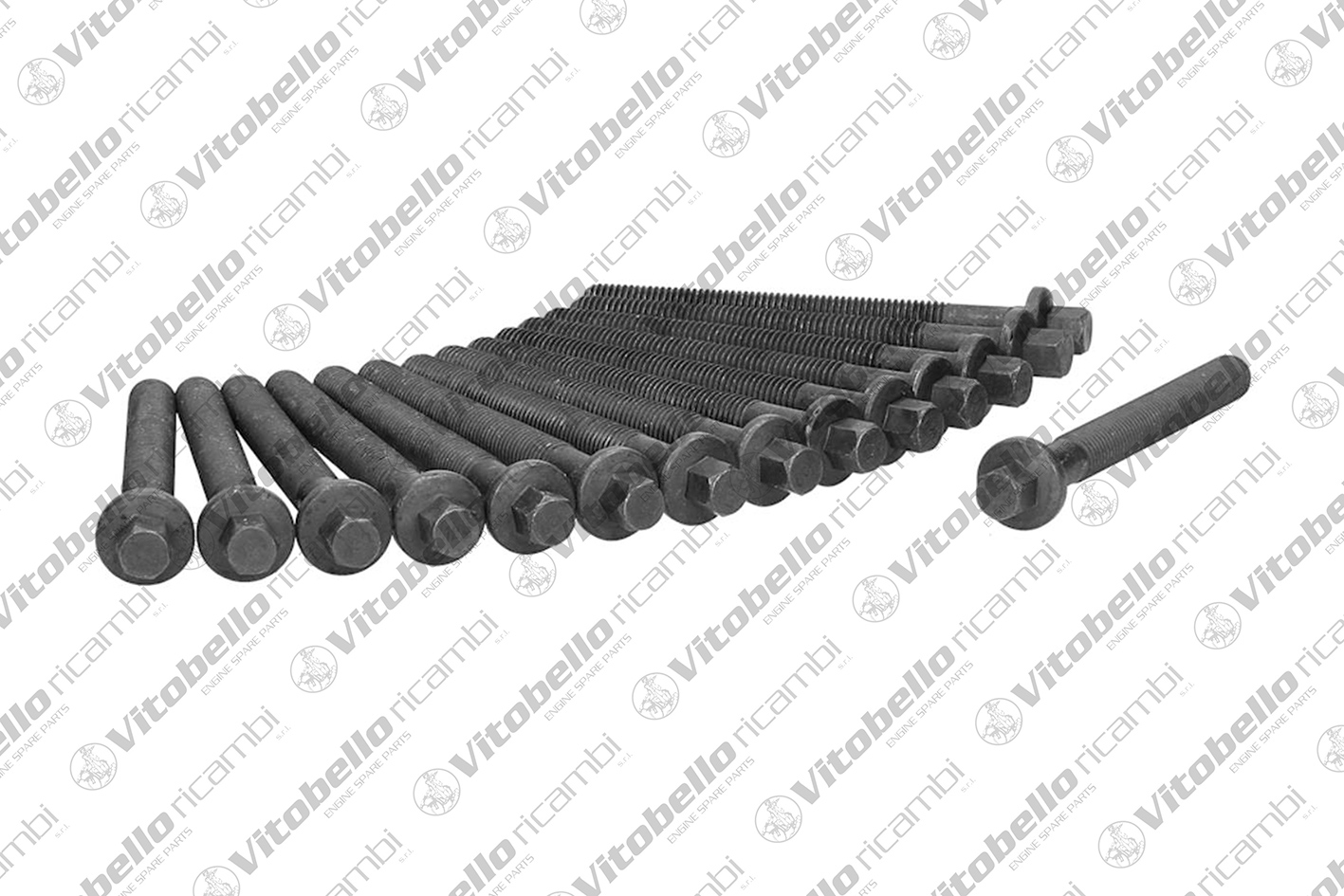 Kit bulloni testata VITOBELLO 1004557N