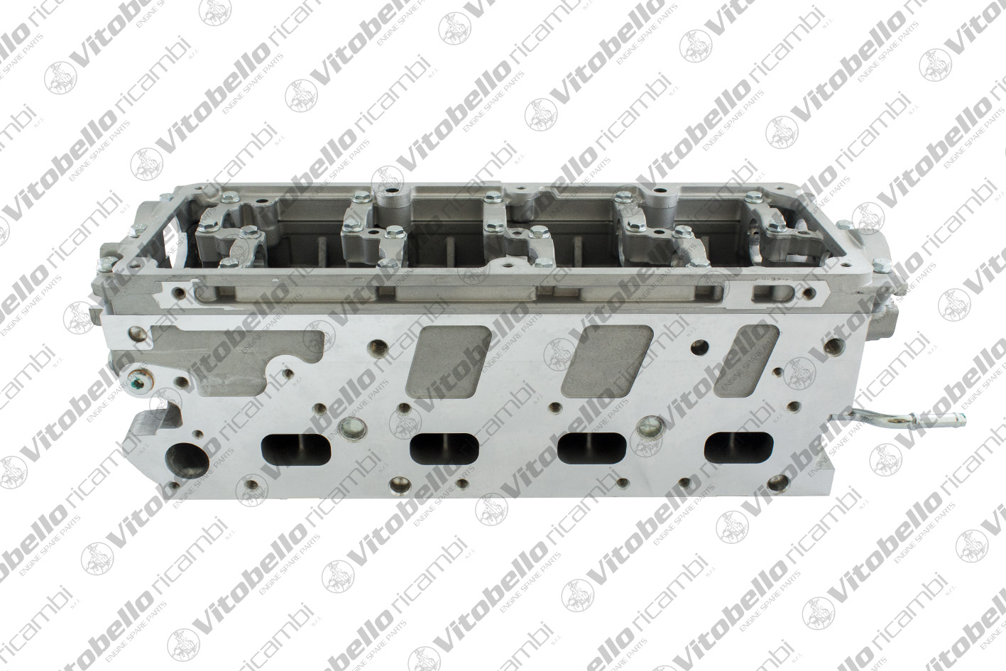Testata VITOBELLO 1005933N