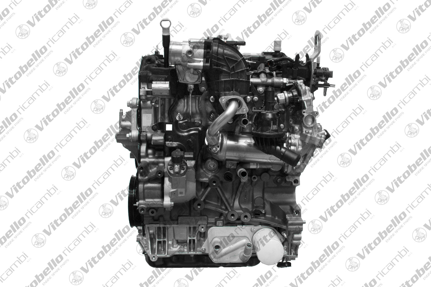 Motore completo VITOBELLO 1006198NO