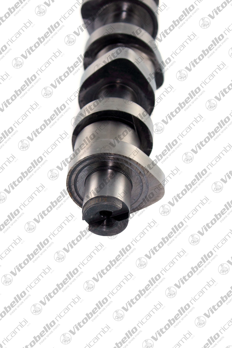 VITOBELLO ALBERO A CAMME AUDI - VW BLS
