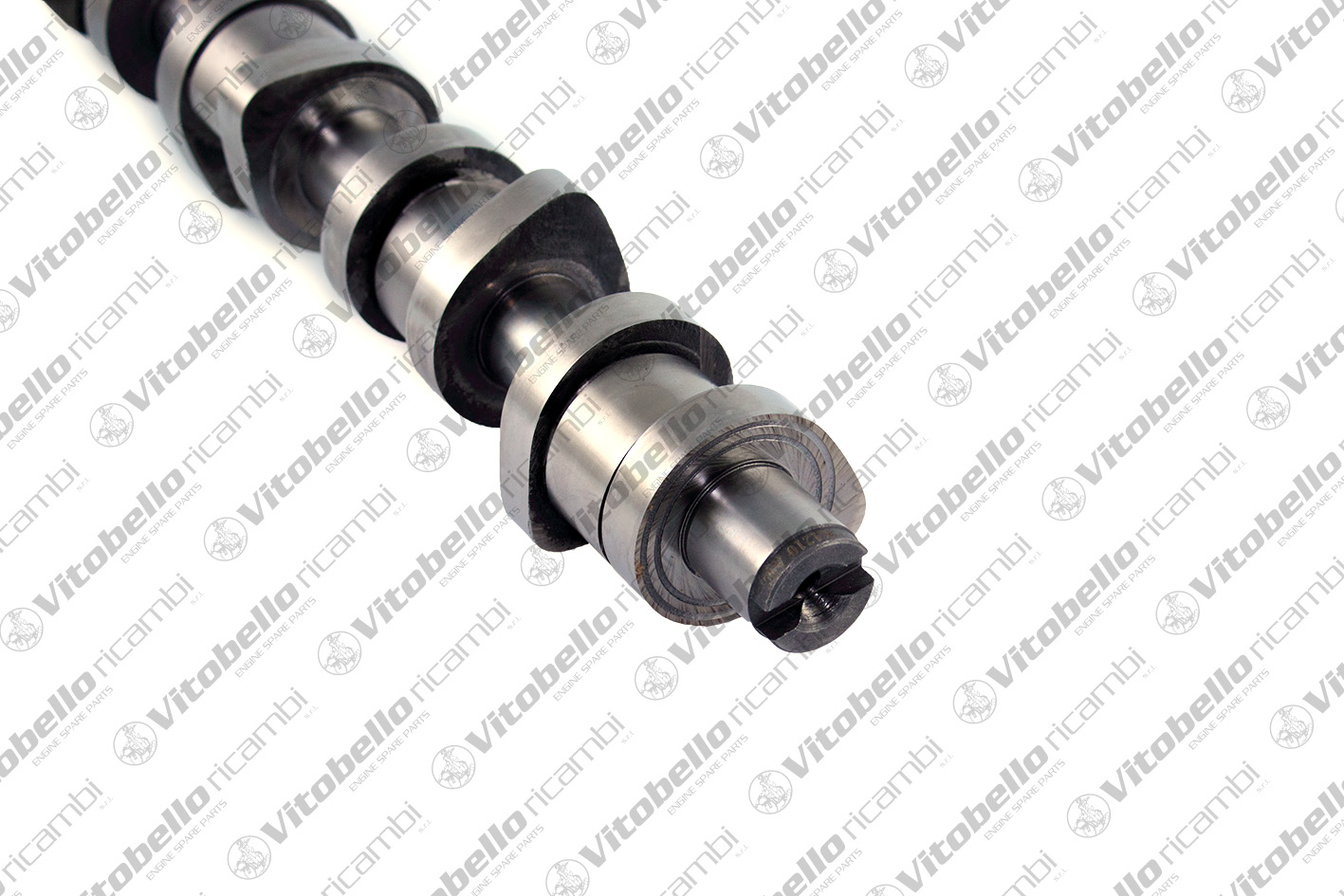 VITOBELLO ALBERO A CAMME AUDI - VW BLS