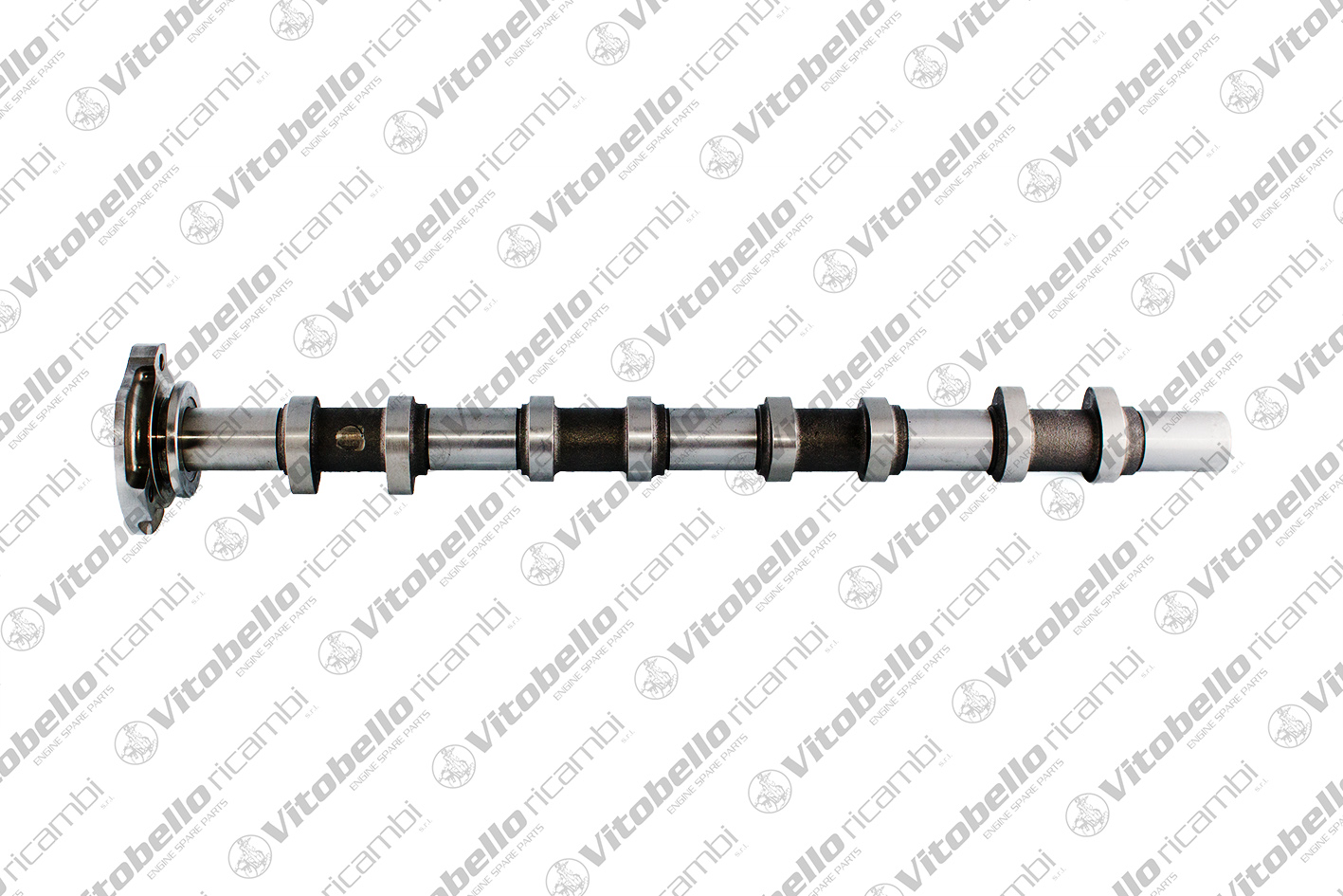 VITOBELLO ALBERO A CAMME IN FORD D2FA