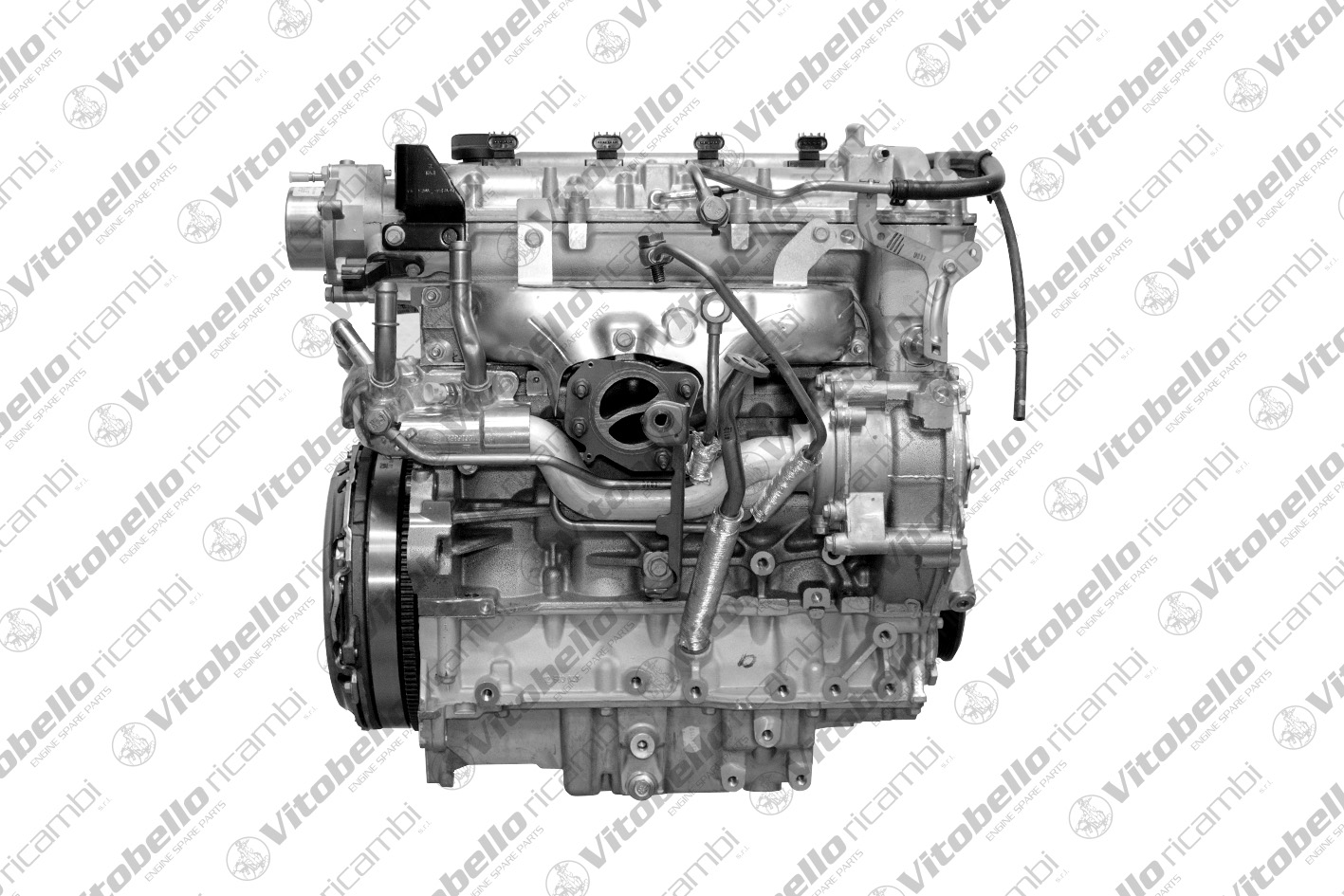 Motore completo VITOBELLO 17689NO