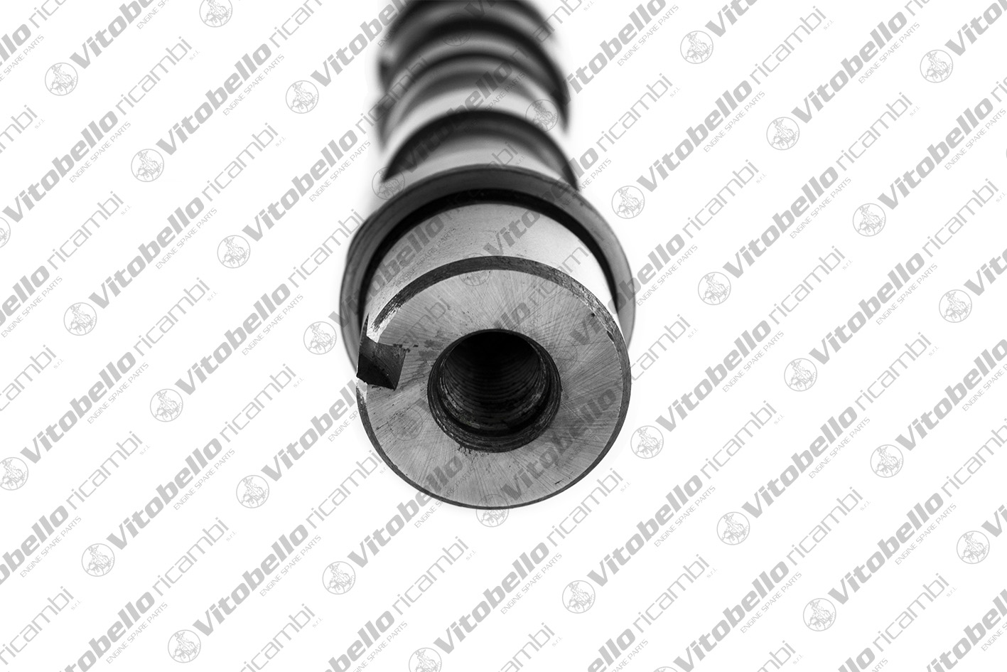 VITOBELLO ALBERO A CAMME EX FIAT 199B1000