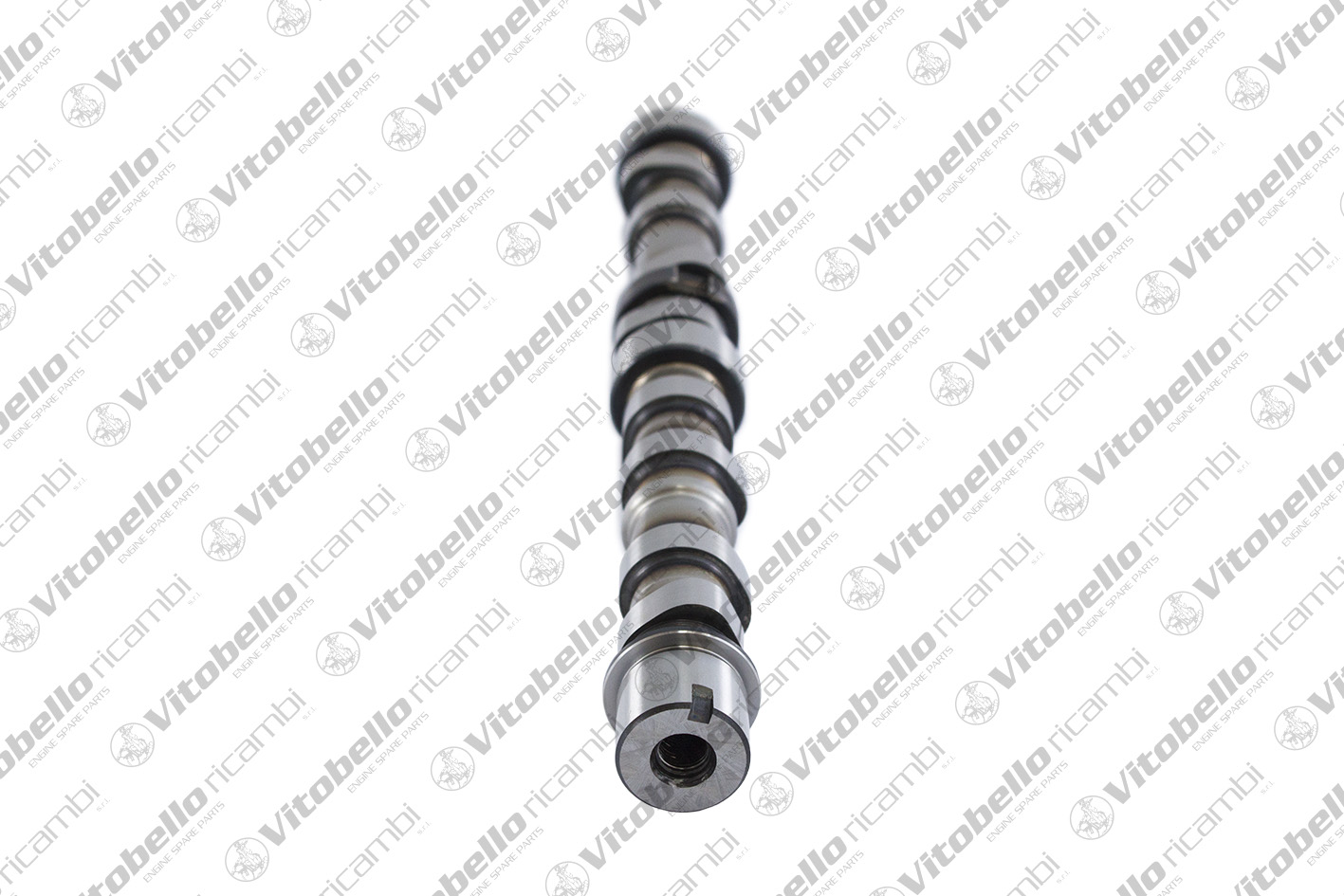 VITOBELLO ALBERO A CAMME IN FIAT 199B1000