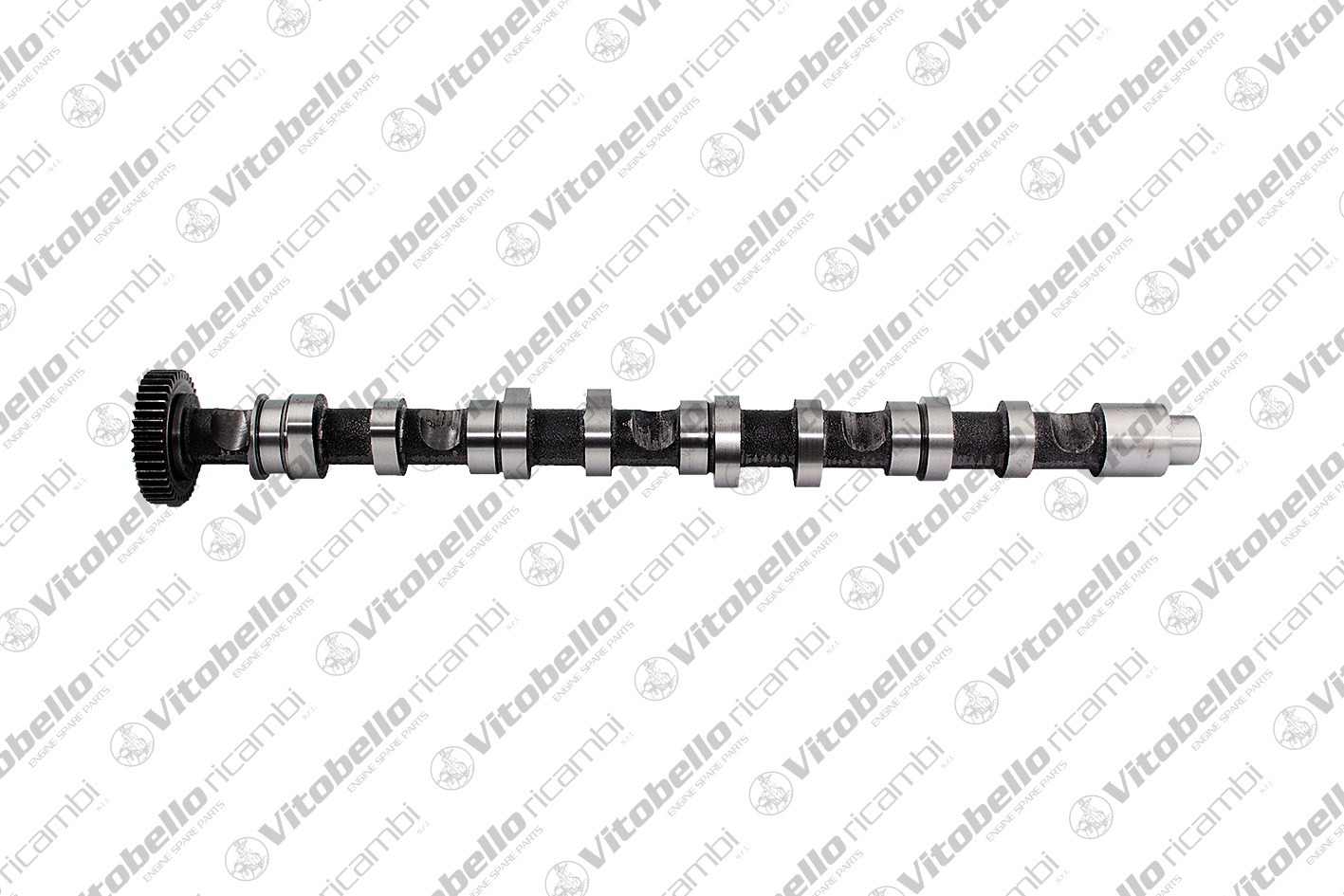 VITOBELLO ALBERO A CAMME EX AUDI - VW CAGA