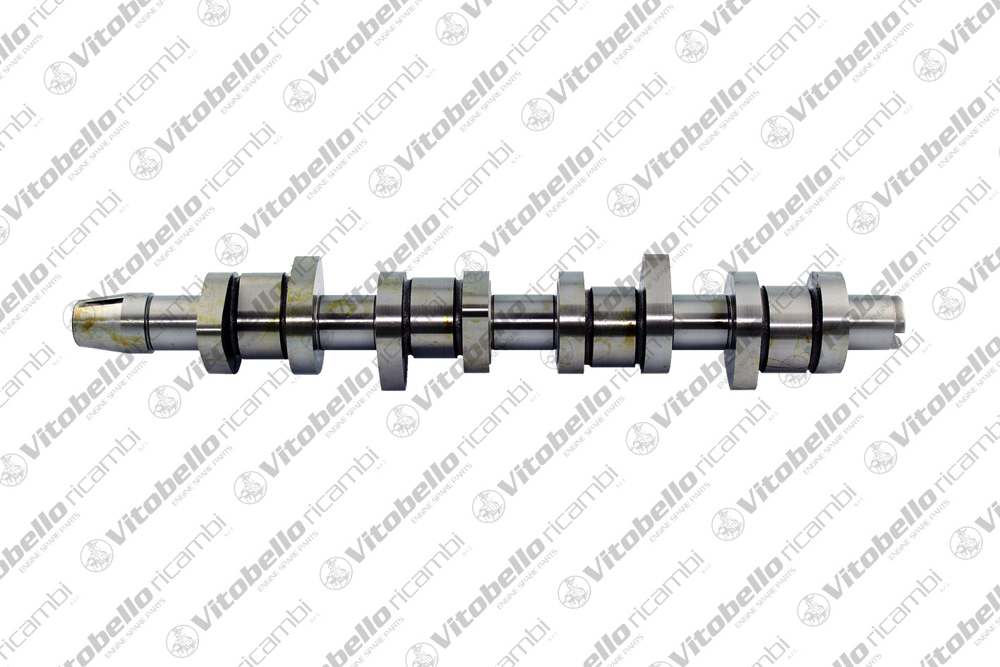 VITOBELLO ALBERO A CAMME AUDI - VW BDJ