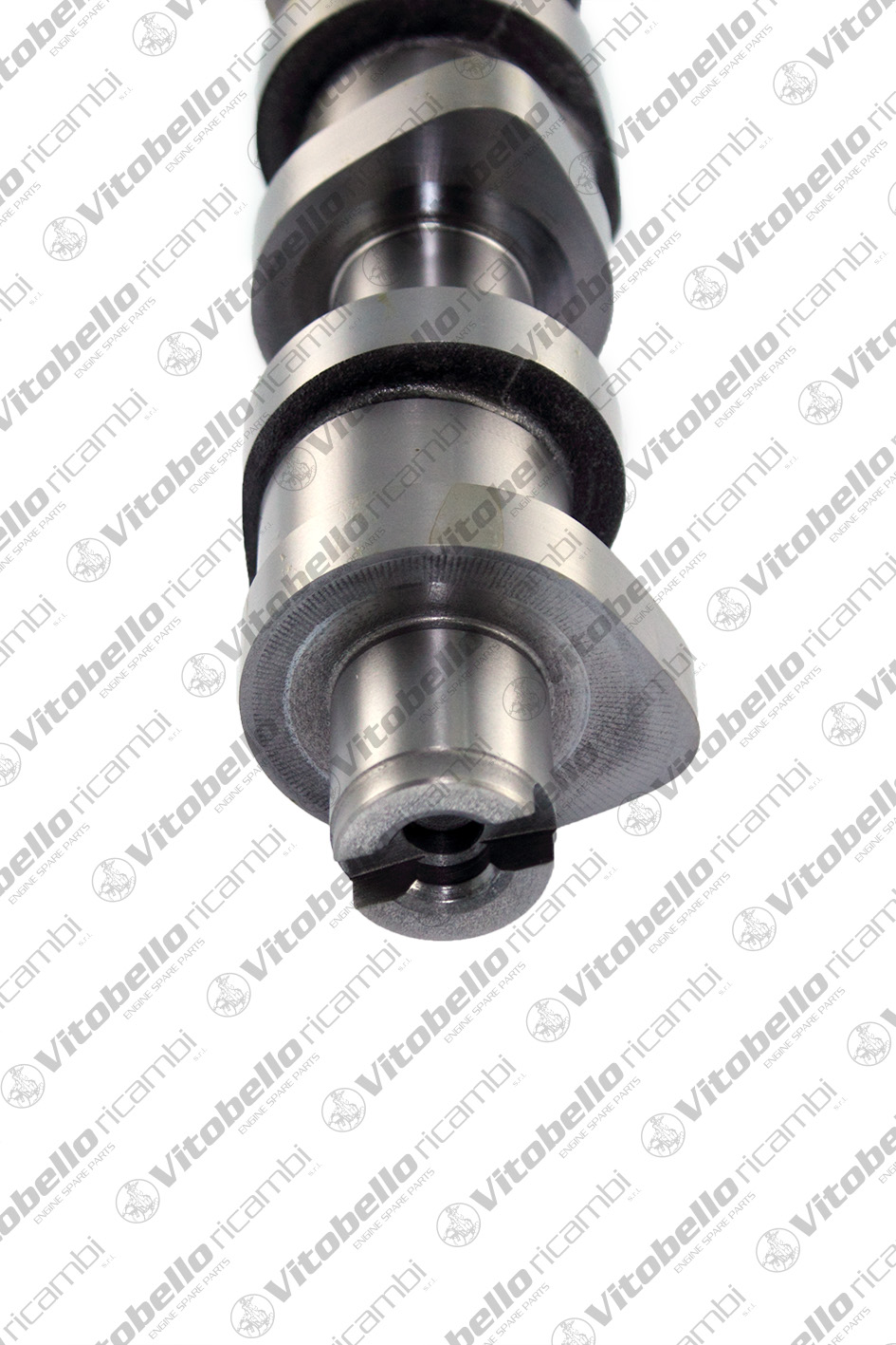 VITOBELLO ALBERO A CAMME AUDI - VW BDJ