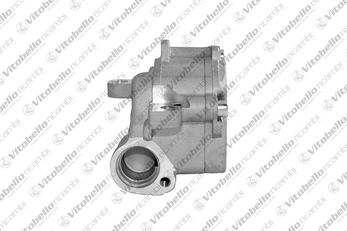 VITOBELLO POMPA OLIO AUDI - VOLKSWAGEN BMP