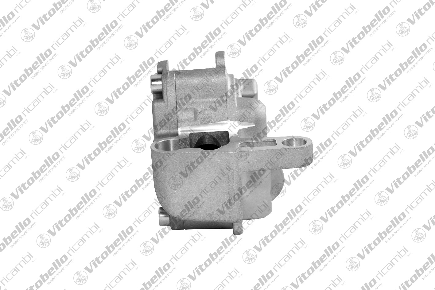VITOBELLO POMPA OLIO AUDI - VOLKSWAGEN BMP
