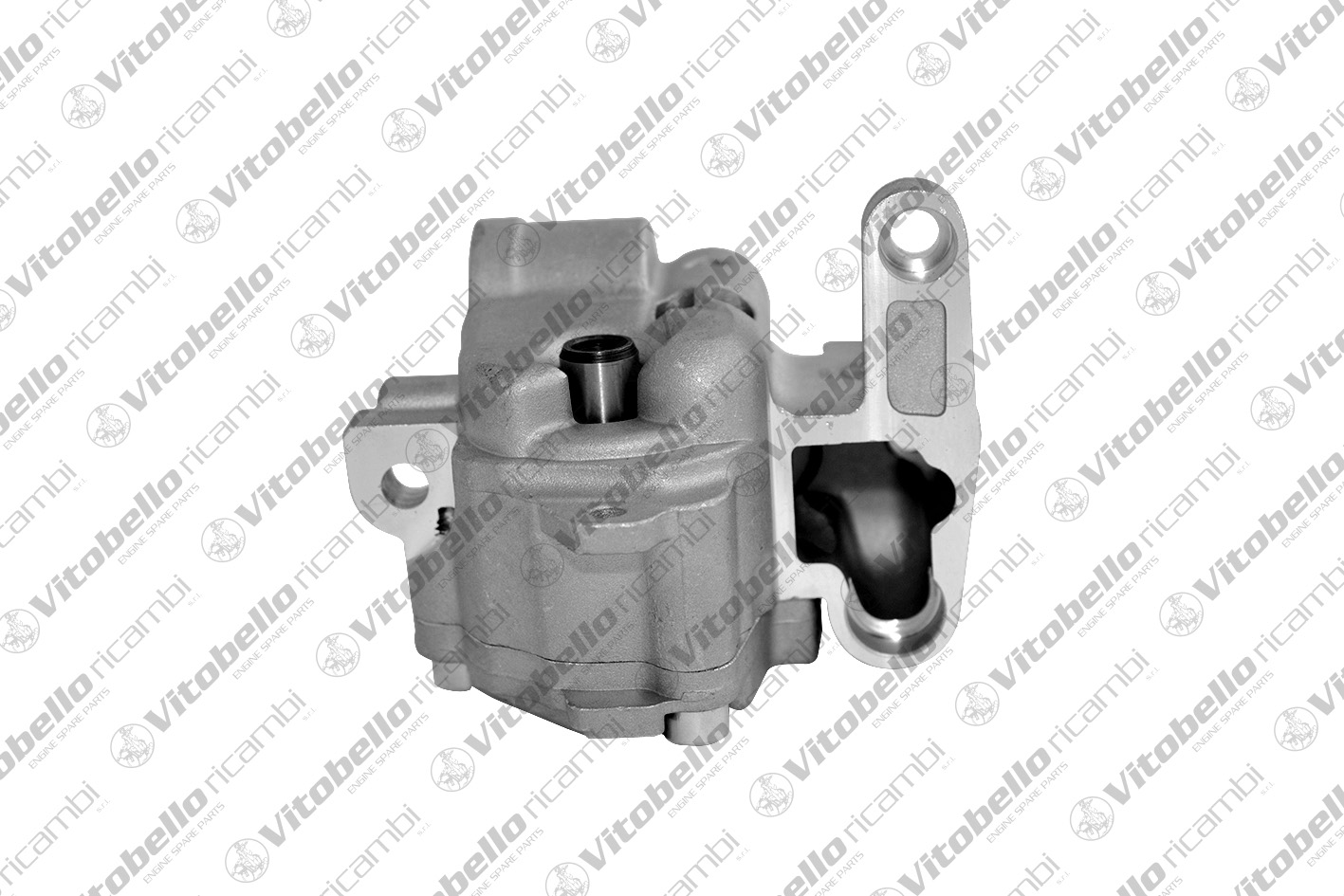 VITOBELLO POMPA OLIO AUDI - VOLKSWAGEN BMP