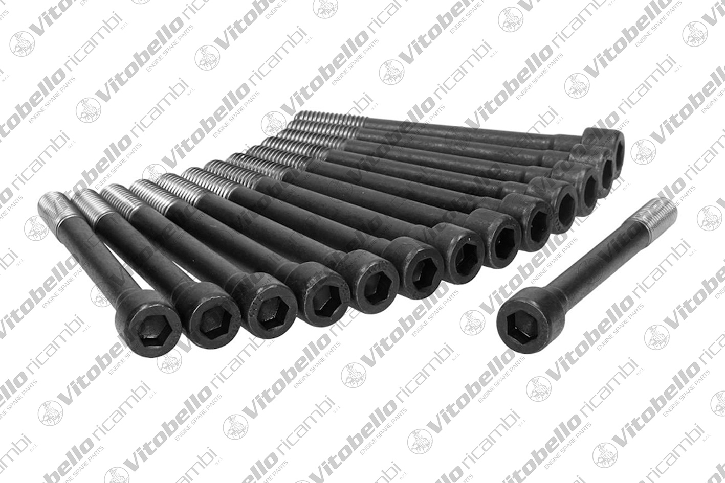 Kit bulloni testata VITOBELLO 19015N