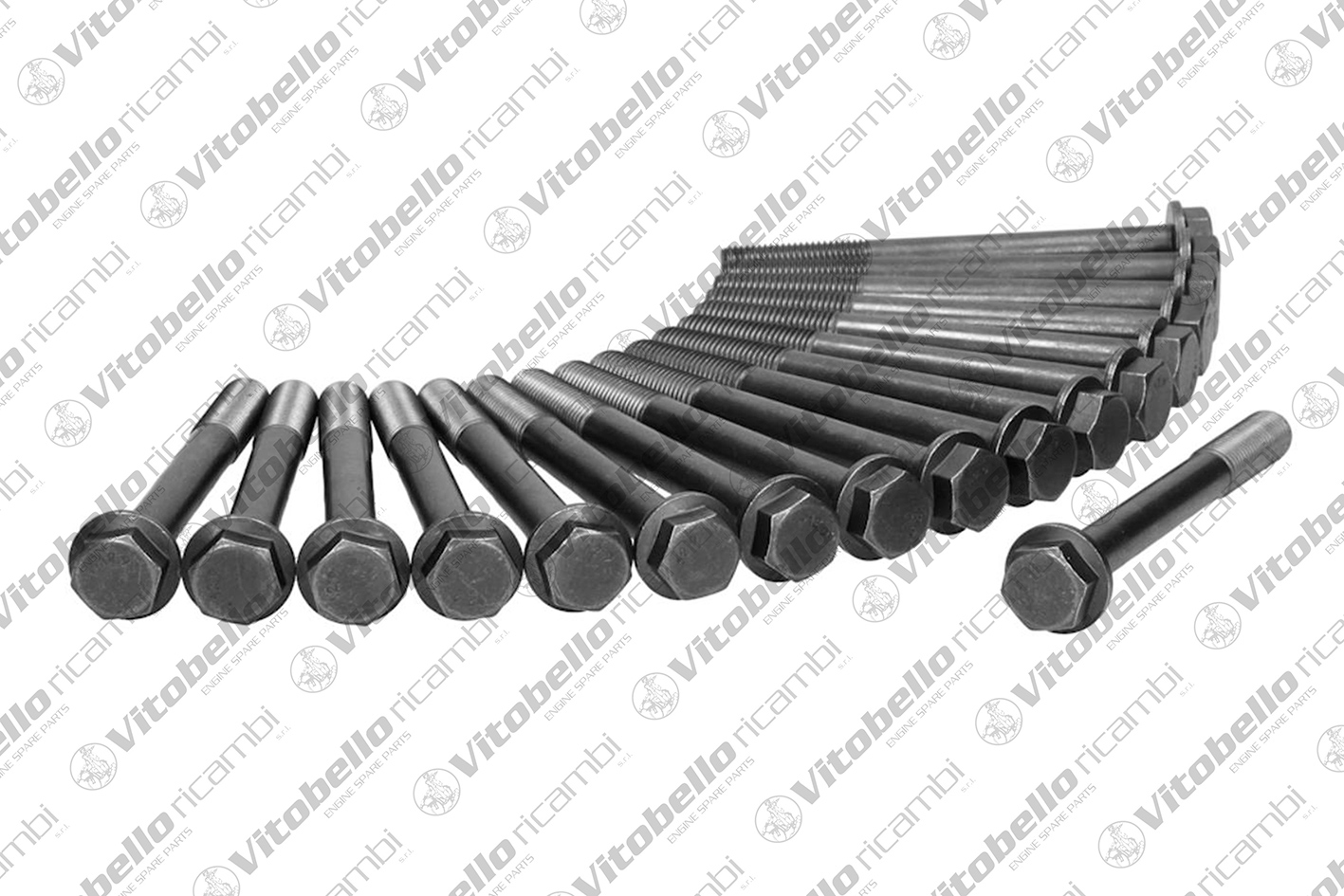 Kit bulloni testata VITOBELLO 19017N