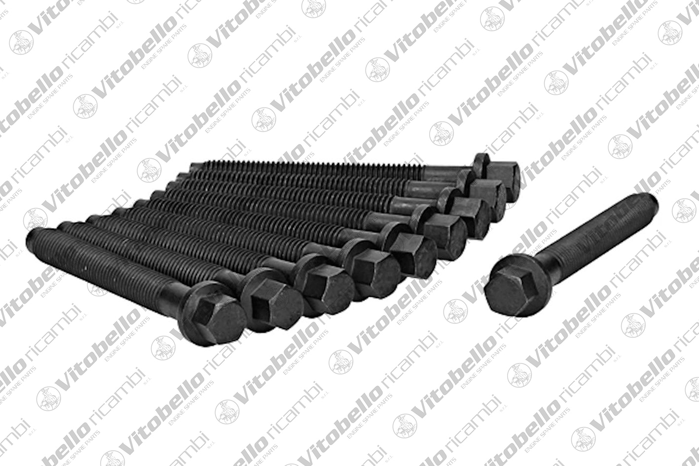 Kit bulloni testata VITOBELLO 19022N
