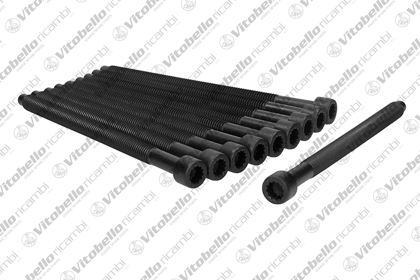 Kit bulloni testata VITOBELLO 19024N