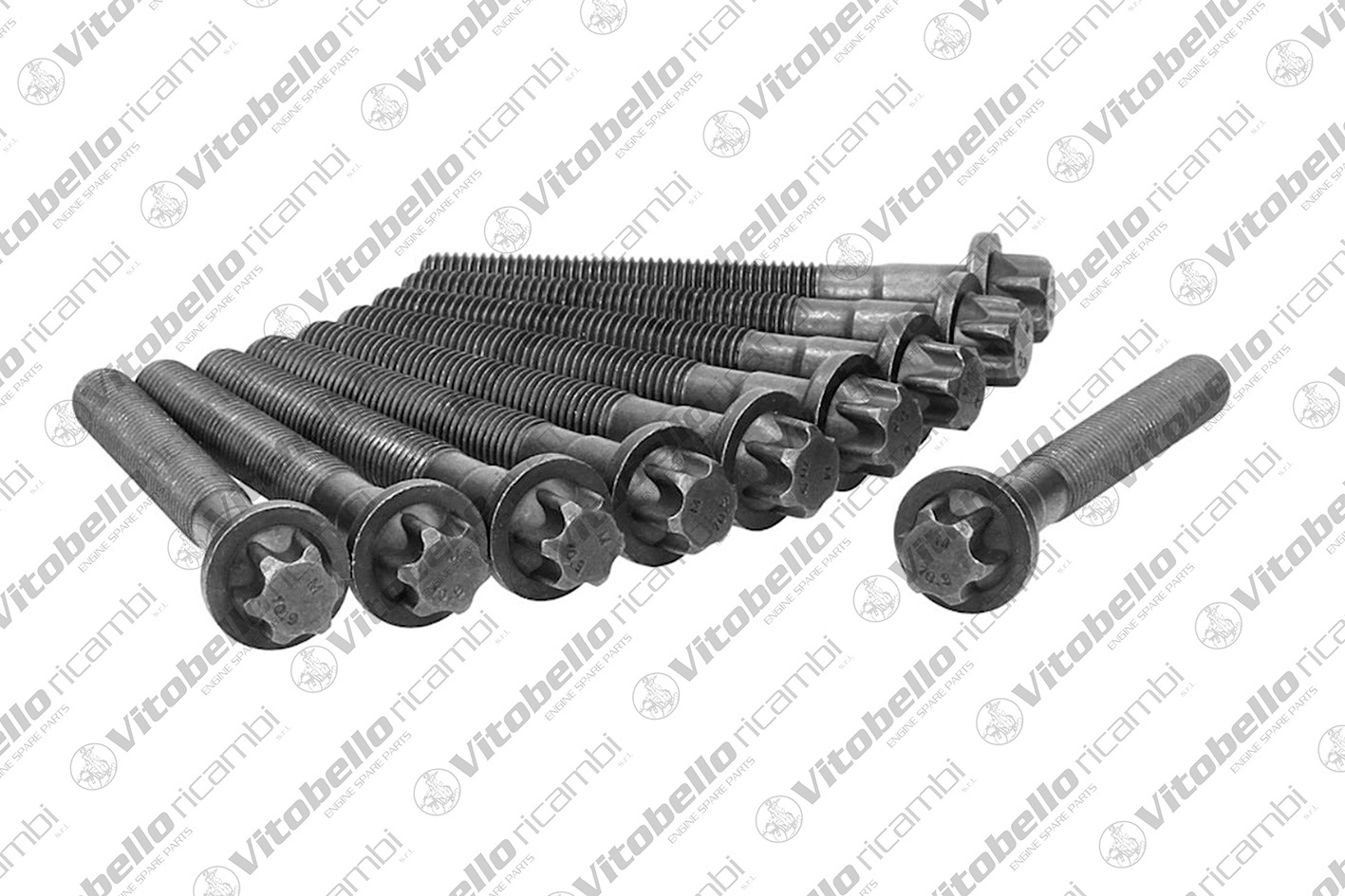 Kit bulloni testata VITOBELLO 19025N
