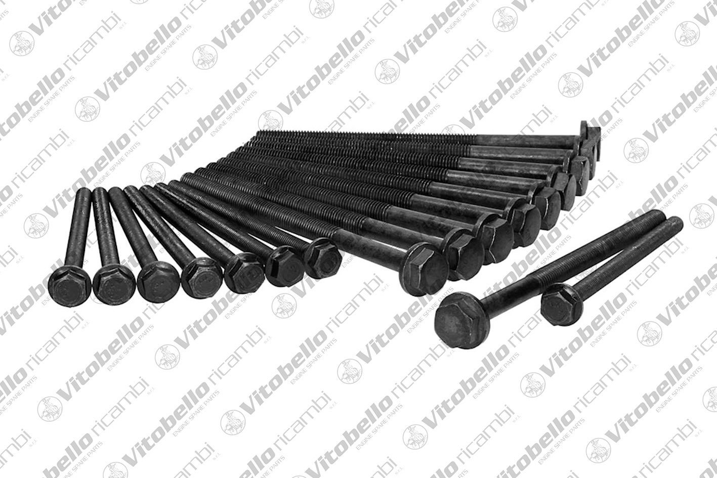 Kit bulloni testata VITOBELLO 19026N