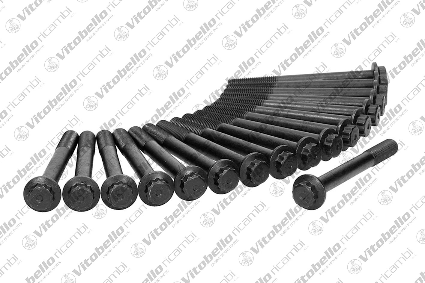 Kit bulloni testata VITOBELLO 19030N
