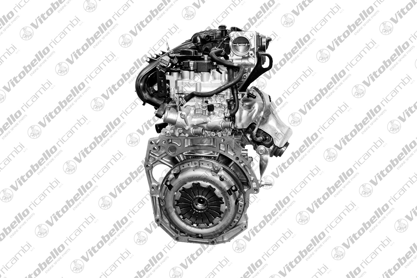 Motore completo VITOBELLO 19142NO