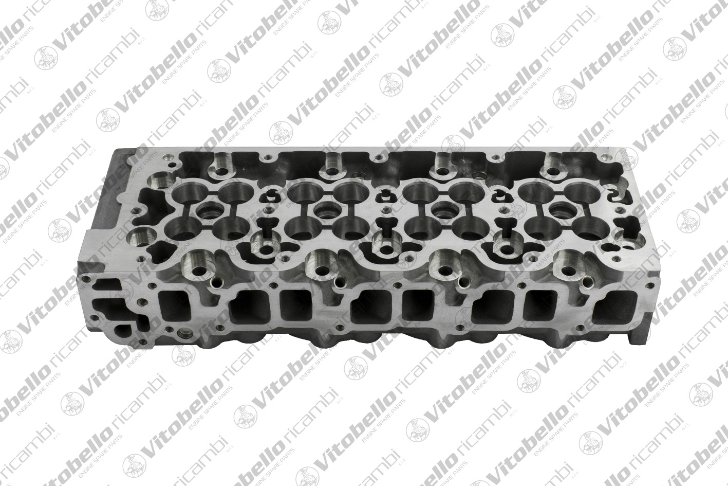 Testata VITOBELLO 8036NO