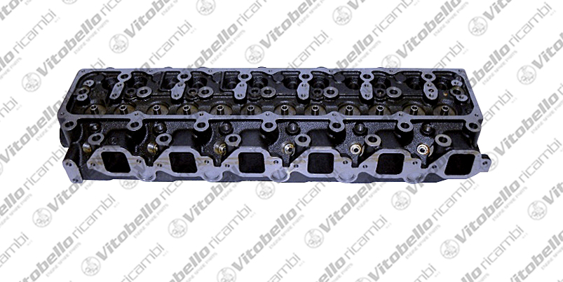 Testata VITOBELLO 8078N
