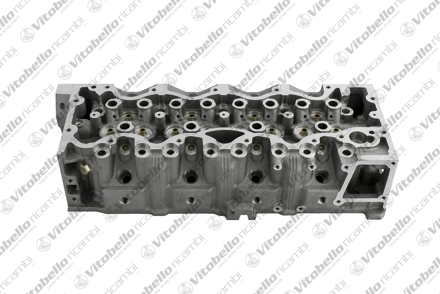 Testata VITOBELLO 8133N