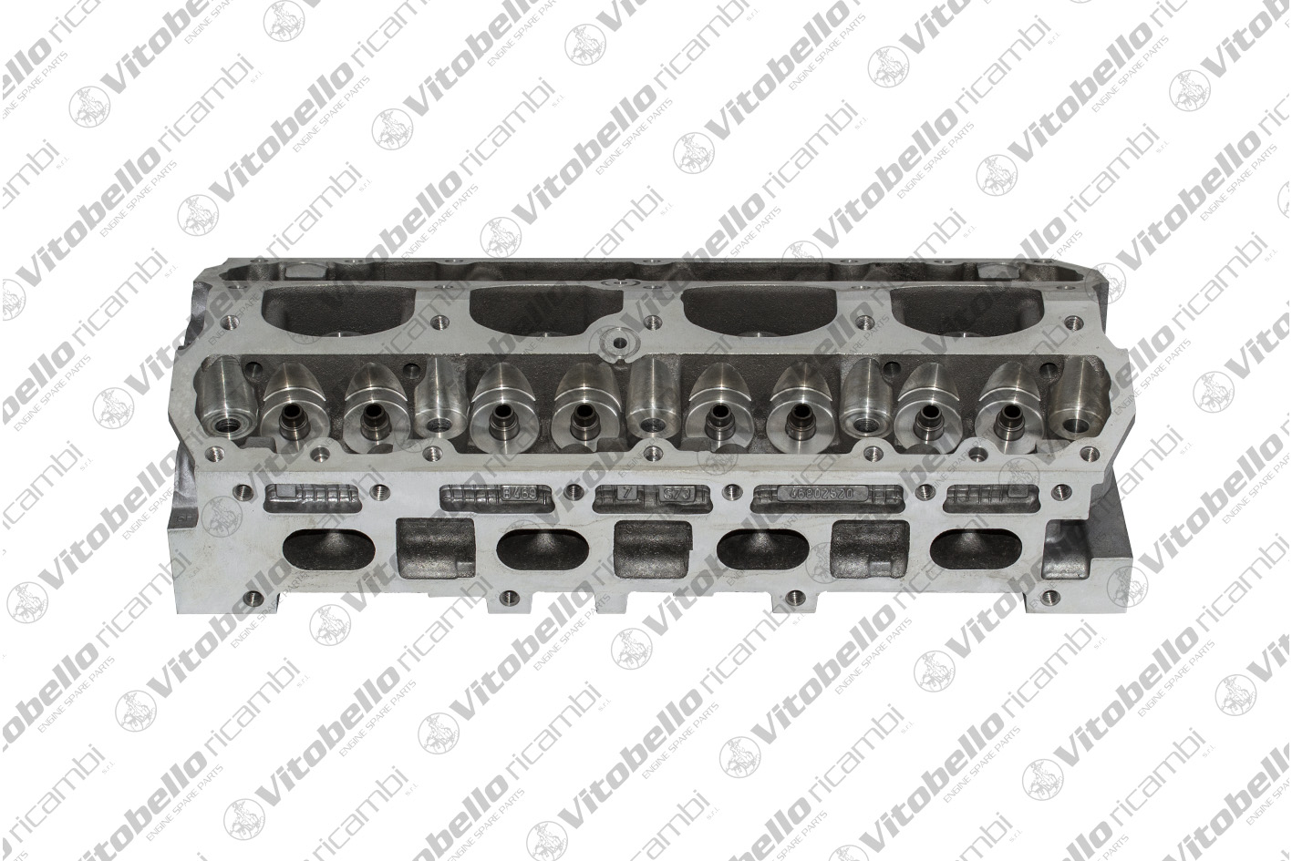Testata VITOBELLO 8221NO