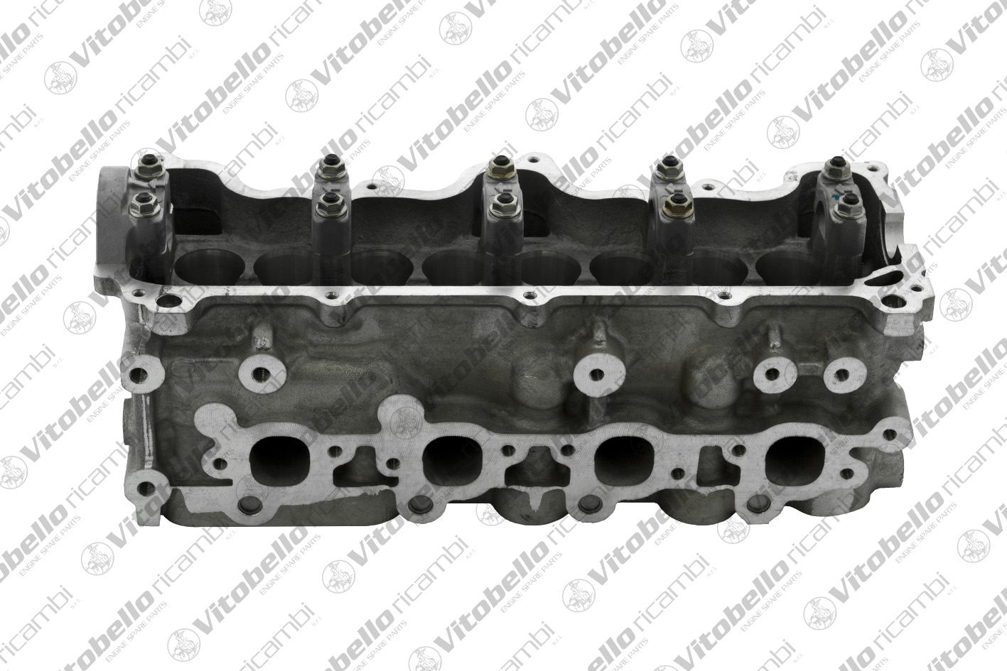 Testata VITOBELLO 8259NO