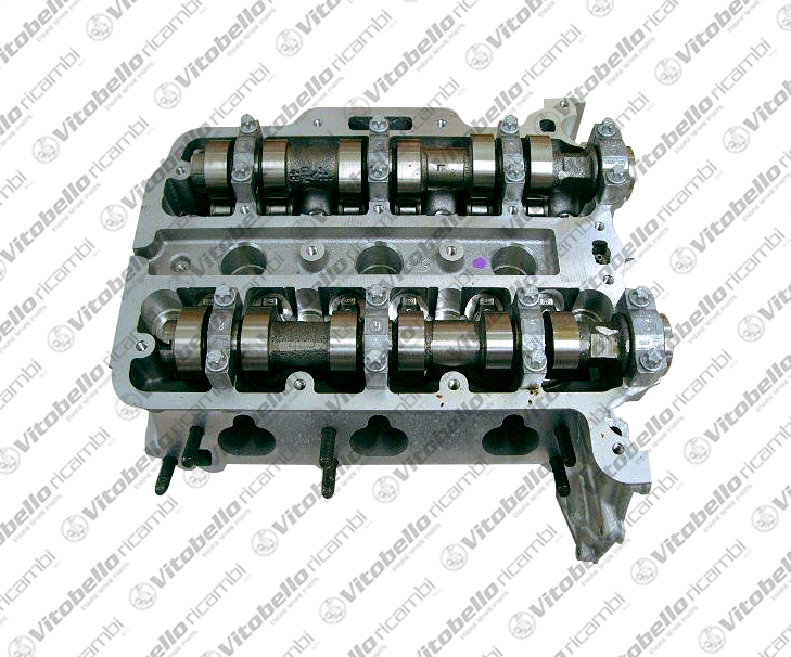 Testata VITOBELLO 8261NO