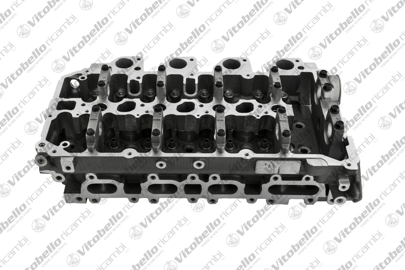 Testata VITOBELLO 8493N