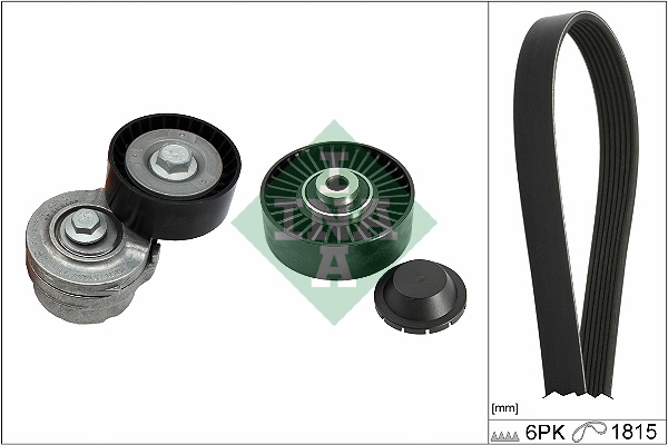 Kit cinghie poly-v INA 529059310