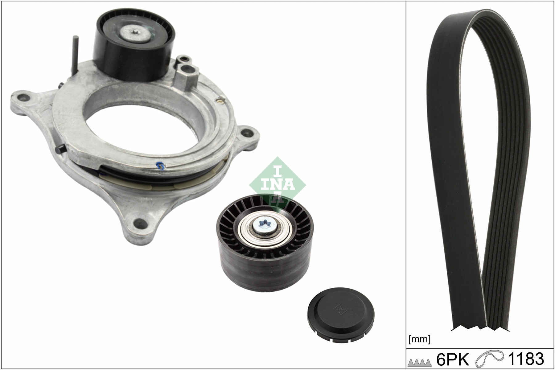 Kit cinghie poly-v INA 529059510