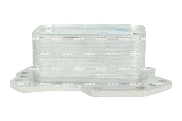 Radiatore olio, olio motore NRF 31893