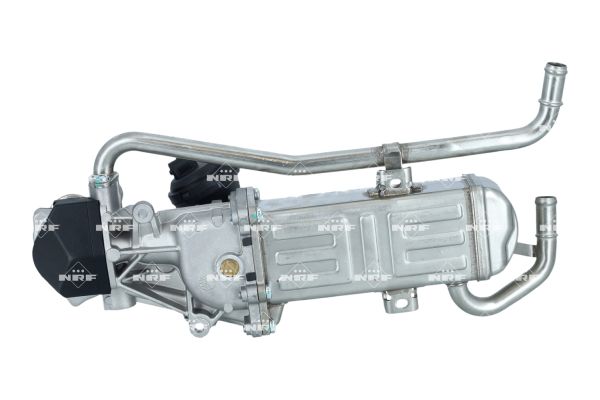 NRF MORDULO EGR