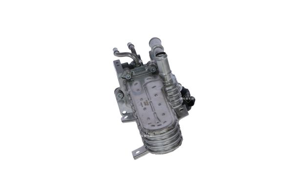 NRF MORDULO EGR