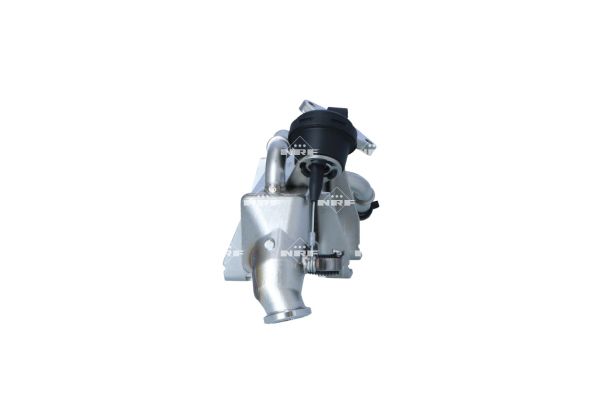 NRF COOLER EGR