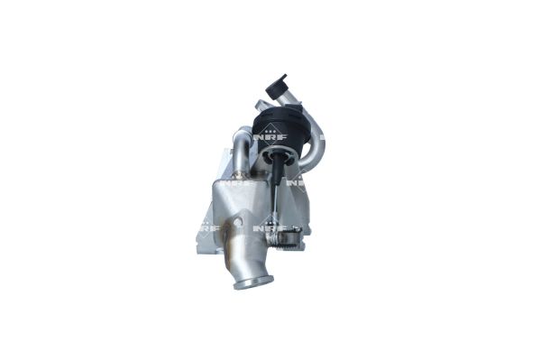NRF COOLER EGR