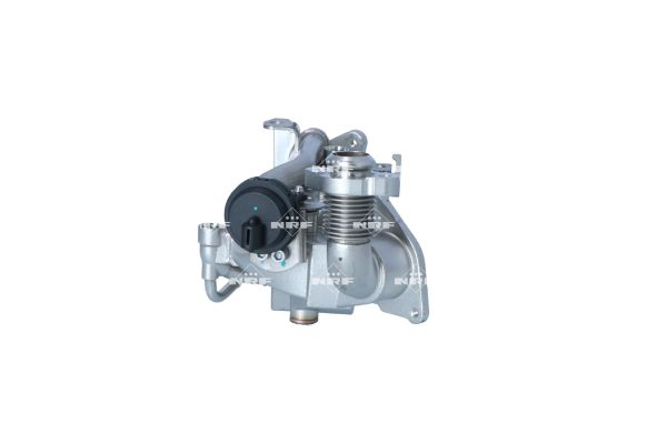 NRF COOLER EGR